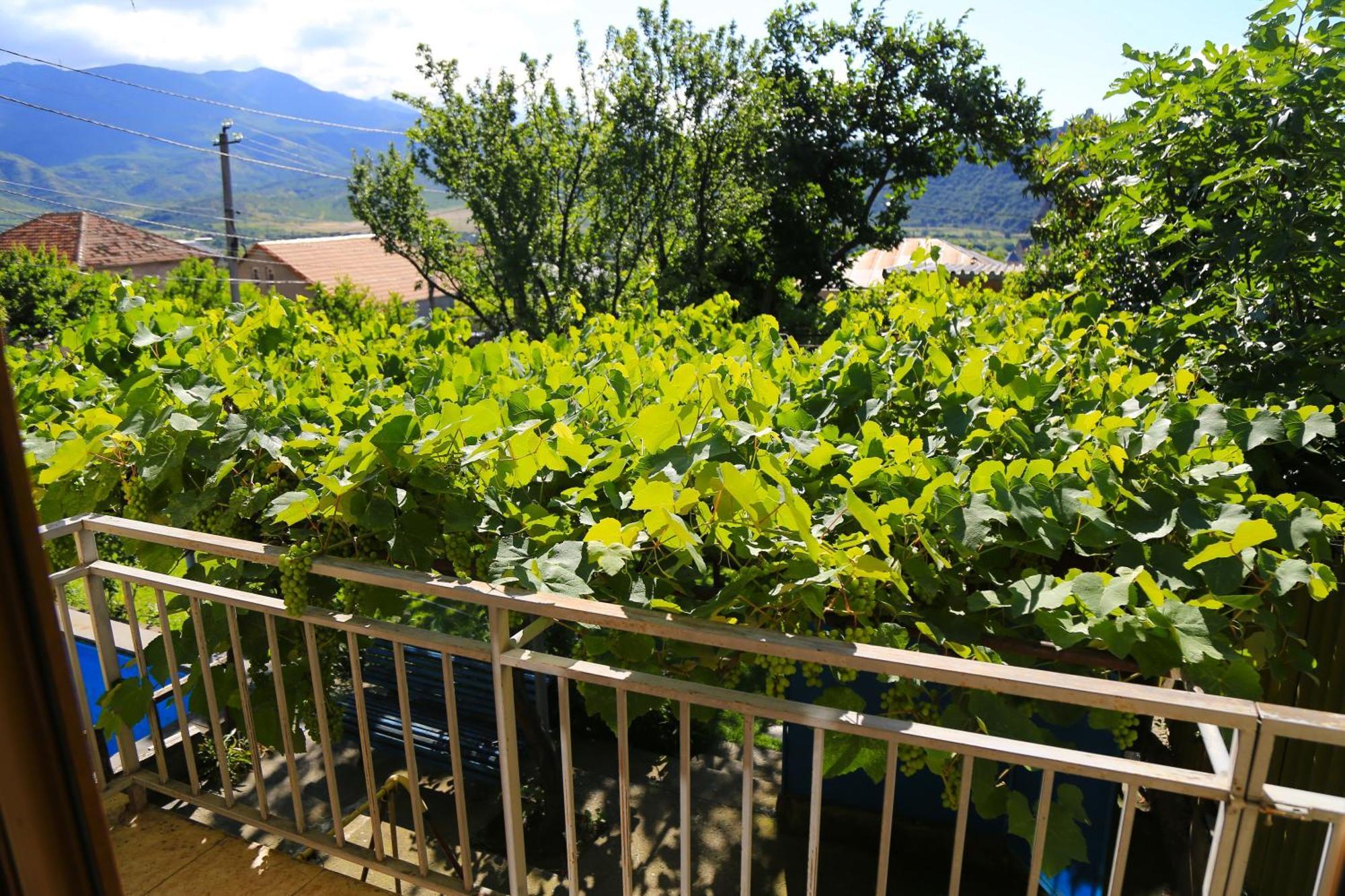 Guest House Green Veranda Mtsʼkhetʼa Екстериор снимка