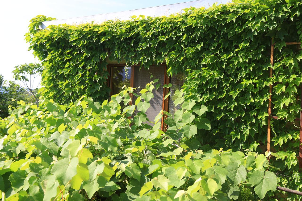 Guest House Green Veranda Mtsʼkhetʼa Екстериор снимка