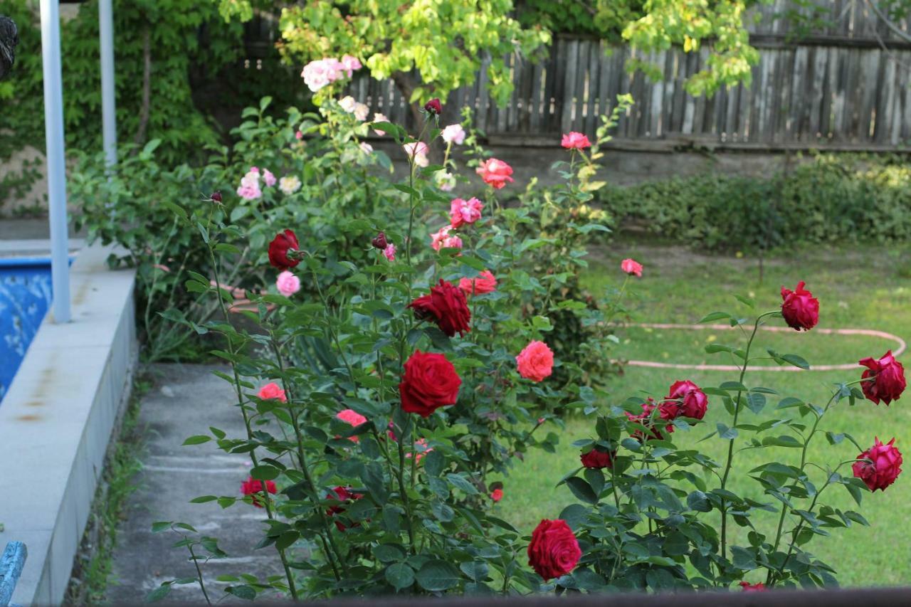 Guest House Green Veranda Mtsʼkhetʼa Екстериор снимка